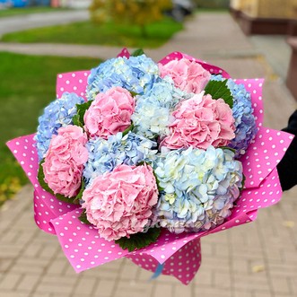 Букет из 11 гортензий Букет из 11 гортензий