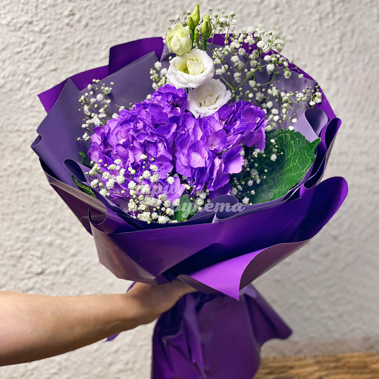 Букет из фиолетовых гортензий с гипсофилой