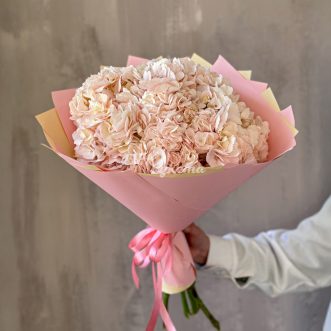 Букет из 7 персиковых гортензий