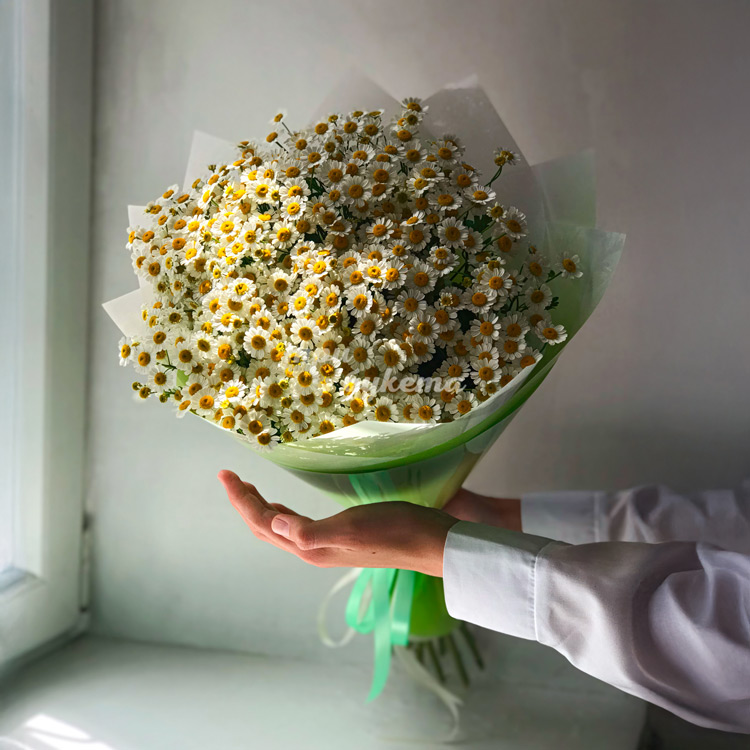 Зеленый букет из 11 танацетумов (в руках флориста)
