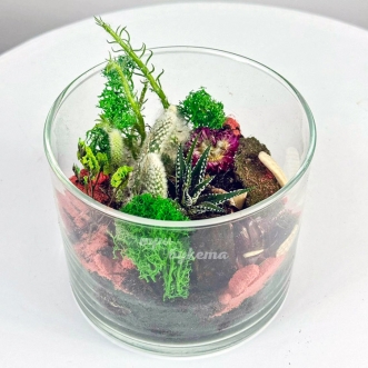 florarium-iz-mhov-kaktusov-i-suhocvetov