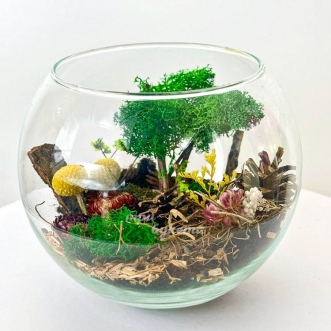florarium-iz-suhocvetov-shishek-i-mhov