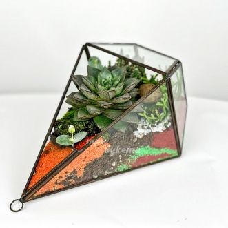 florarium-iz-sukkulenta-i-yarkogo-peska