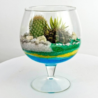 florarium-kubok-s-kaktusami-i-havortiej