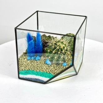 florarium-s-kaktusami-sukkulentom-i-lagurusom