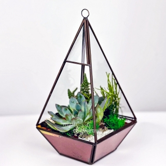 florarium-s-kaktusom-mhom-i-eheveriej
