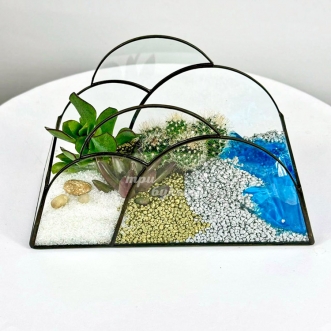 florarium-s-kaktusom-sukkulentami-i-vodoemom