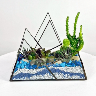 florarium-s-sinimi-kameshkami-kaktusami-i-sukkulentami