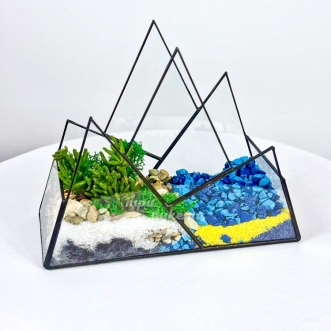 florarium-s-sinimi-kameshkami-mhom-i-sukkulentom