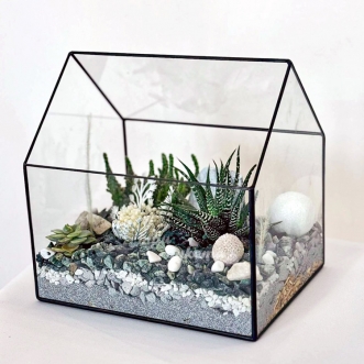 florarium-s-suhocvetami-havortiej-i-kaktusami