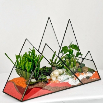 florarium-s-yarkim-peskom-kaktusami-i-plyushhom