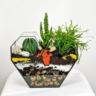 florarium-v-vide-serdca-s-kaktusami